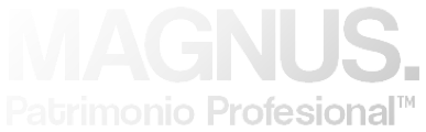 MAGNUS · Patrimonio Profesional